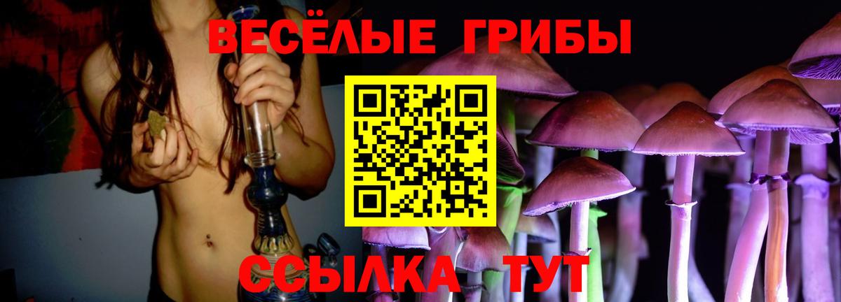 Псилоцибиновые грибы ЛСД  Вход с VPN  купить   Шахты 