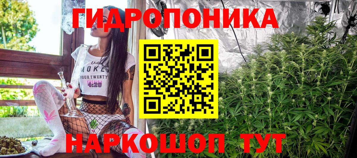 Шахты  Канабис тримм  Канабис Bruce Banner  Вход с VPN  Канабис LSD WEED  Марихуана индика 